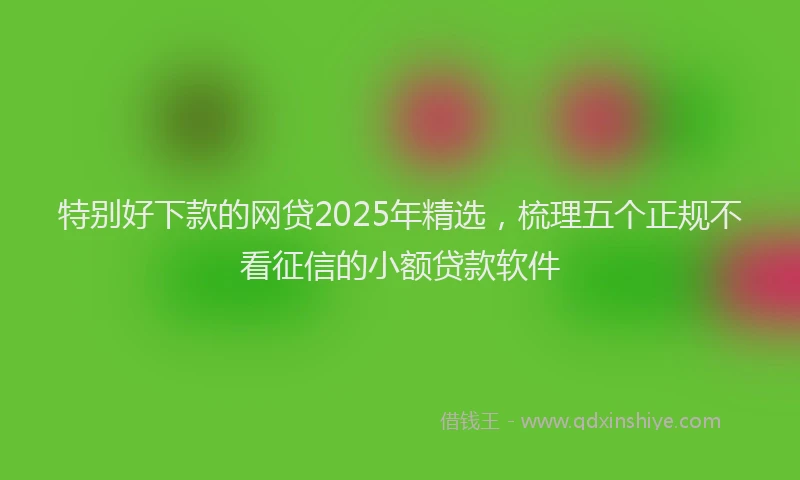 特别好下款的网贷2025年精选，梳理五个正规不看征信的小额贷款软件