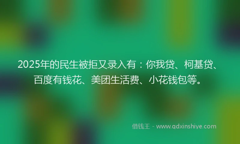 2025年的民生被拒又录入有：你我贷、柯基贷、百度有钱花、美团生活费、小花钱包等。