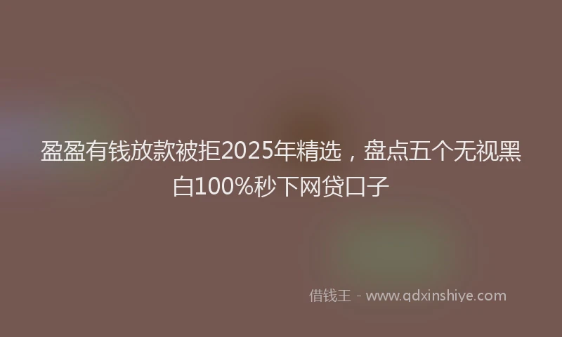 盈盈有钱放款被拒2025年精选，盘点五个无视黑白100%秒下网贷口子