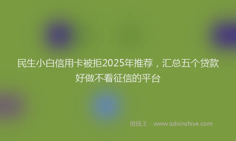民生小白信用卡被拒2025年推荐，汇总五个贷款好做不看征信的平台