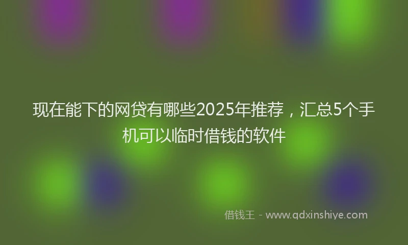 现在能下的网贷有哪些2025年推荐，汇总5个手机可以临时借钱的软件
