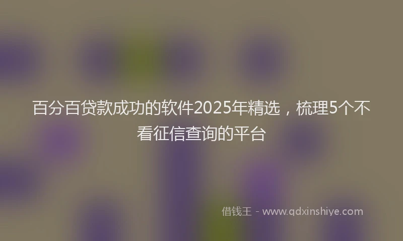 百分百贷款成功的软件2025年精选，梳理5个不看征信查询的平台