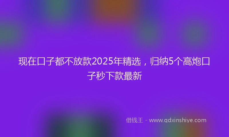 现在口子都不放款2025年精选，归纳5个高炮口子秒下款最新