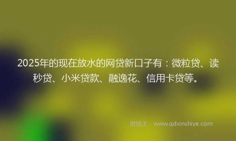 2025年的现在放水的网贷新口子有：微粒贷、读秒贷、小米贷款、融逸花、信用卡贷等。