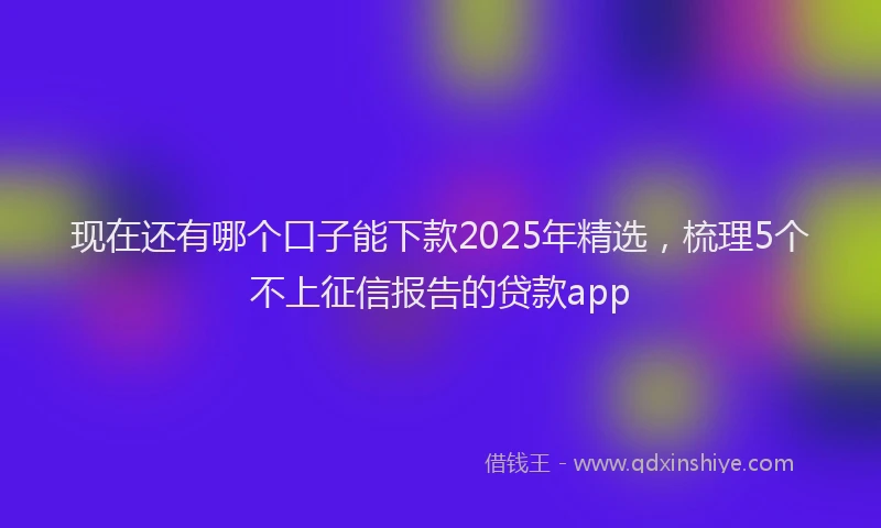 现在还有哪个口子能下款2025年精选，梳理5个不上征信报告的贷款app