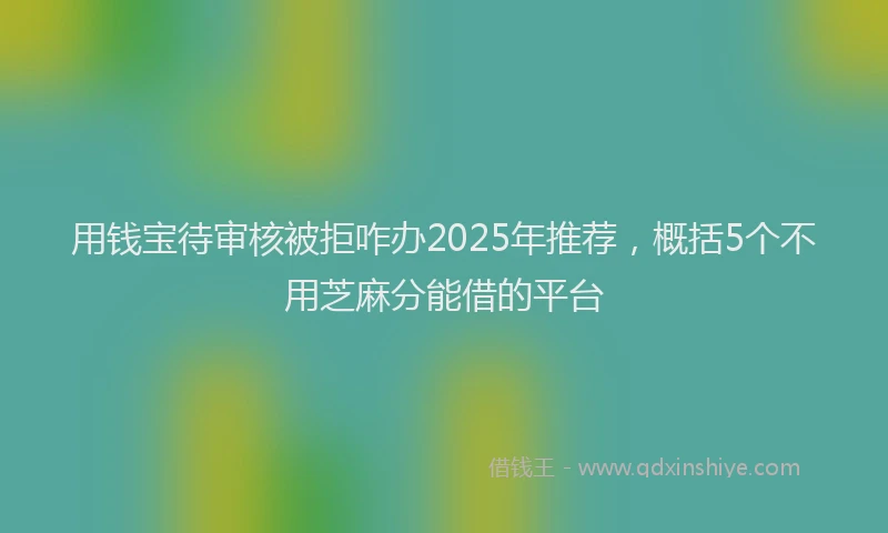 用钱宝待审核被拒咋办2025年推荐，概括5个不用芝麻分能借的平台