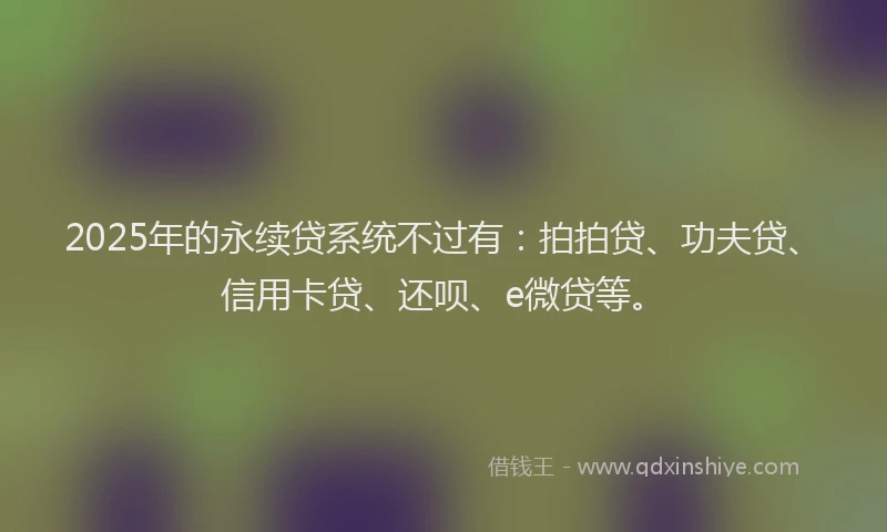 2025年的永续贷系统不过有：拍拍贷、功夫贷、信用卡贷、还呗、e微贷等。