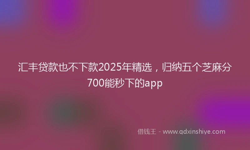汇丰贷款也不下款2025年精选，归纳五个芝麻分700能秒下的app