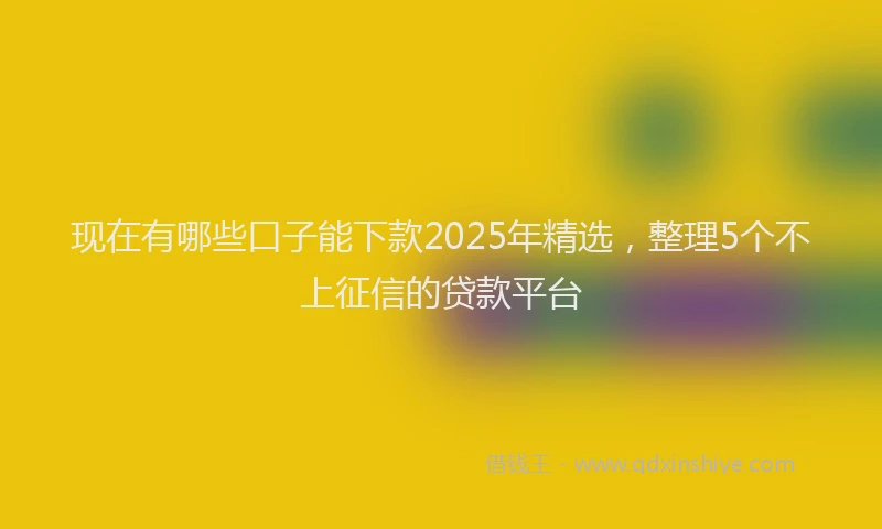 现在有哪些口子能下款2025年精选，整理5个不上征信的贷款平台