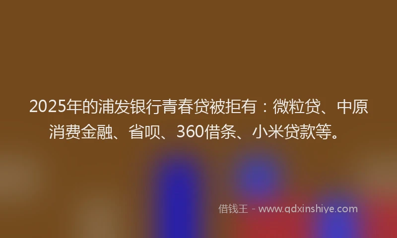 2025年的浦发银行青春贷被拒有：微粒贷、中原消费金融、省呗、360借条、小米贷款等。