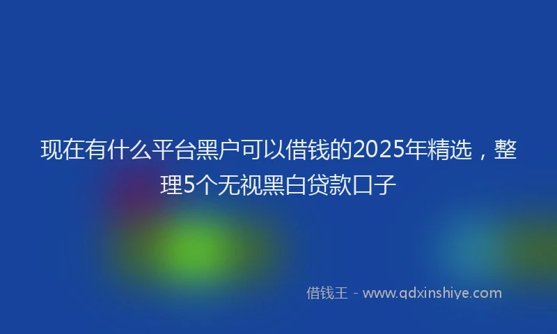 现在有什么平台黑户可以借钱的2025年精选，整理5个无视黑白贷款口子
