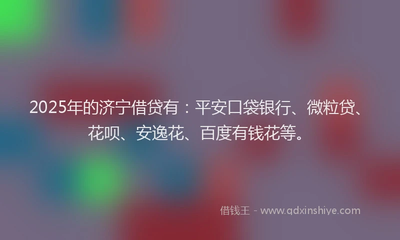 2025年的济宁借贷有：平安口袋银行、微粒贷、花呗、安逸花、百度有钱花等。