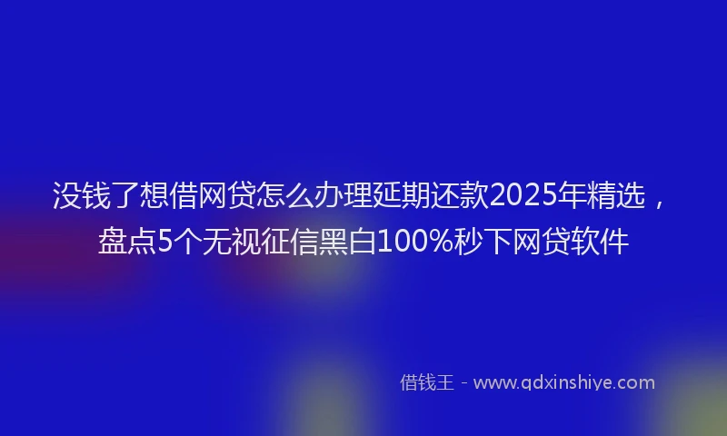 没钱了想借网贷怎么办理延期还款2025年精选，盘点5个无视征信黑白100%秒下网贷软件