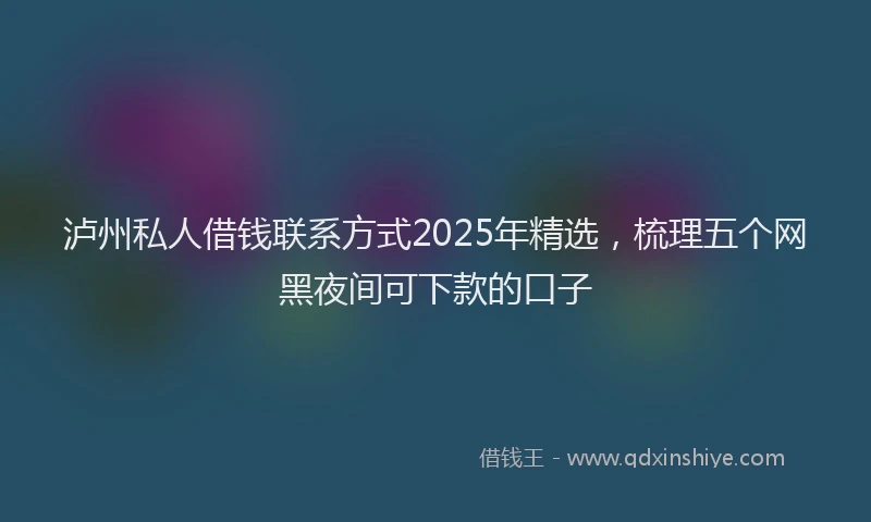 泸州私人借钱联系方式2025年精选，梳理五个网黑夜间可下款的口子