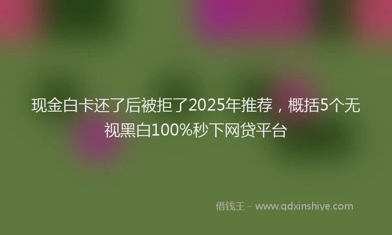 现金白卡还了后被拒了2025年推荐，概括5个无视黑白100%秒下网贷平台