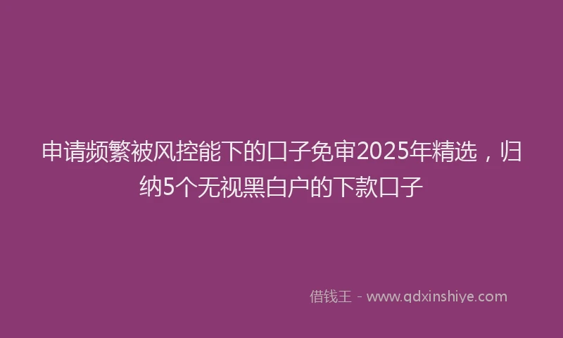 申请频繁被风控能下的口子免审2025年精选，归纳5个无视黑白户的下款口子