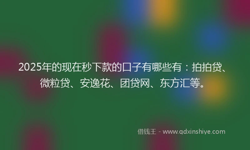 2025年的现在秒下款的口子有哪些有：拍拍贷、微粒贷、安逸花、团贷网、东方汇等。