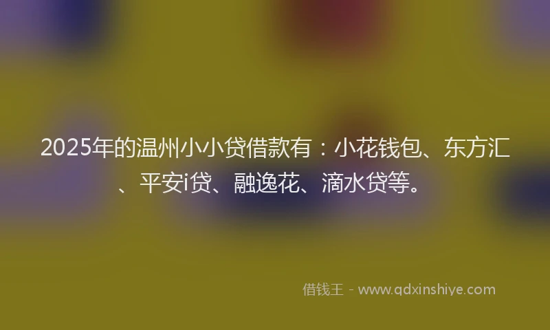 2025年的温州小小贷借款有：小花钱包、东方汇、平安i贷、融逸花、滴水贷等。
