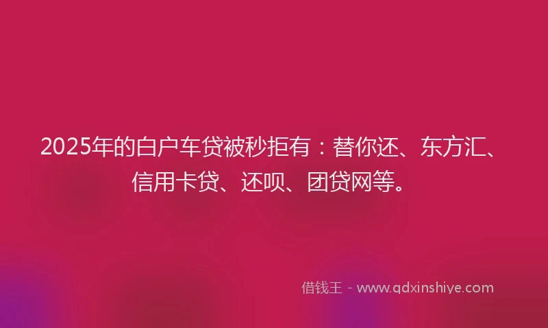2025年的白户车贷被秒拒有：替你还、东方汇、信用卡贷、还呗、团贷网等。