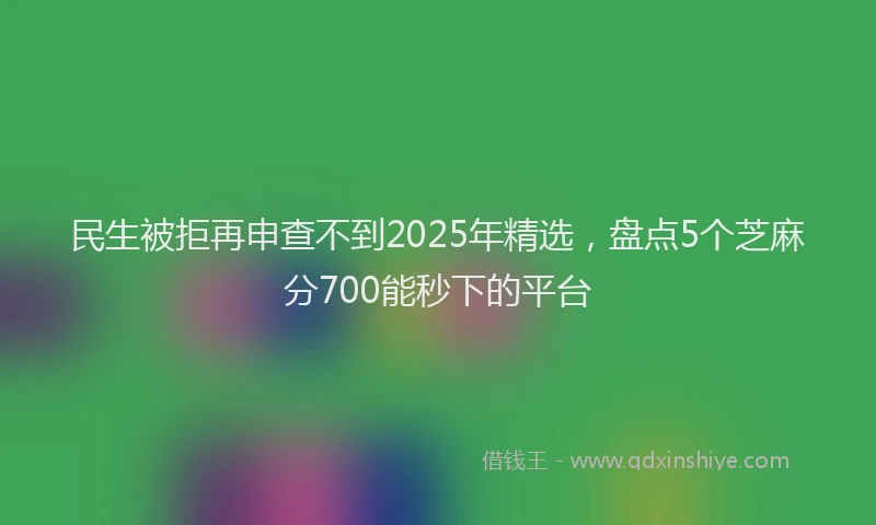 民生被拒再申查不到2025年精选，盘点5个芝麻分700能秒下的平台