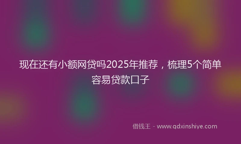 现在还有小额网贷吗2025年推荐，梳理5个简单容易贷款口子