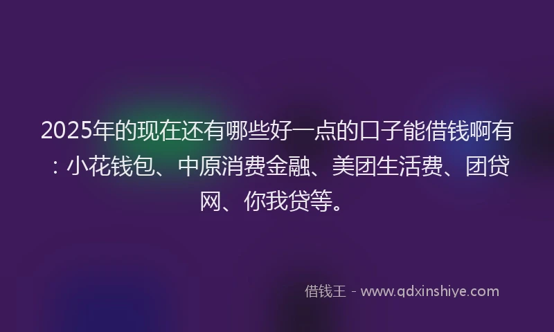 2025年的现在还有哪些好一点的口子能借钱啊有：小花钱包、中原消费金融、美团生活费、团贷网、你我贷等。