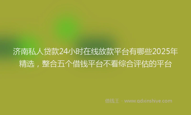 济南私人贷款24小时在线放款平台有哪些2025年精选，整合五个借钱平台不看综合评估的平台