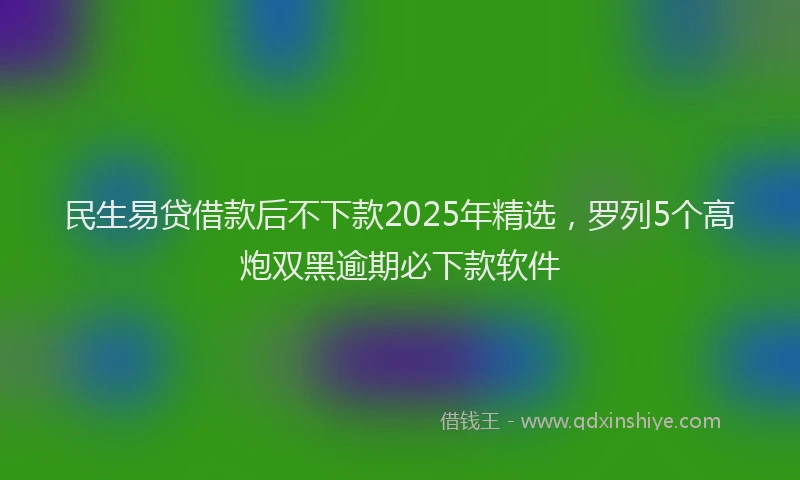 民生易贷借款后不下款2025年精选，罗列5个高炮双黑逾期必下款软件