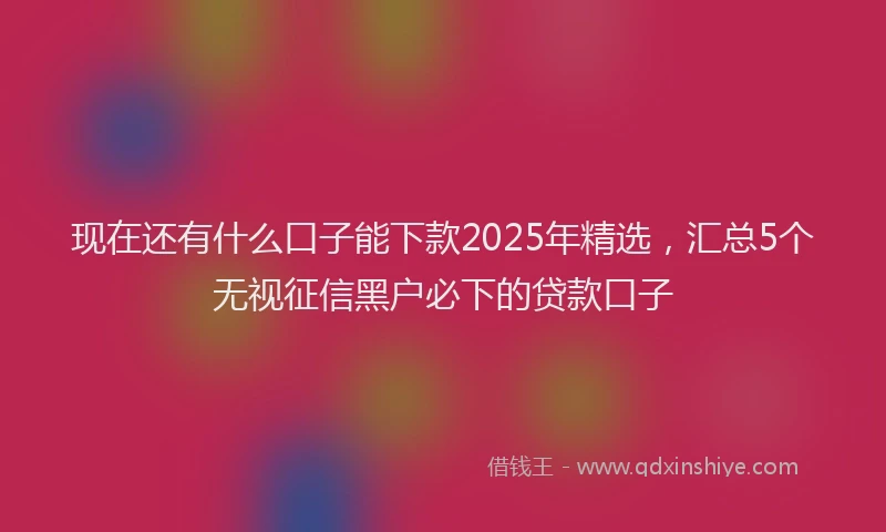 现在还有什么口子能下款2025年精选，汇总5个无视征信黑户必下的贷款口子