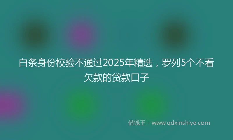 白条身份校验不通过2025年精选，罗列5个不看欠款的贷款口子