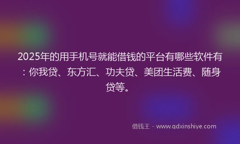 2025年的用手机号就能借钱的平台有哪些软件有：你我贷、东方汇、功夫贷、美团生活费、随身贷等。