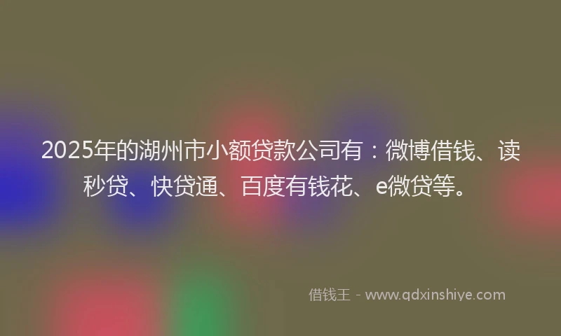 2025年的湖州市小额贷款公司有：微博借钱、读秒贷、快贷通、百度有钱花、e微贷等。