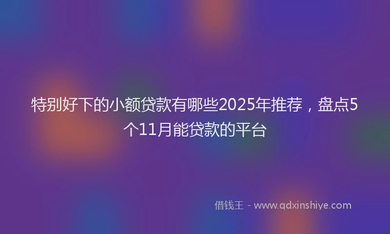 特别好下的小额贷款有哪些2025年推荐，盘点5个11月能贷款的平台