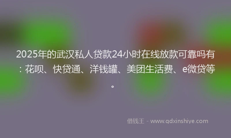 2025年的武汉私人贷款24小时在线放款可靠吗有：花呗、快贷通、洋钱罐、美团生活费、e微贷等。