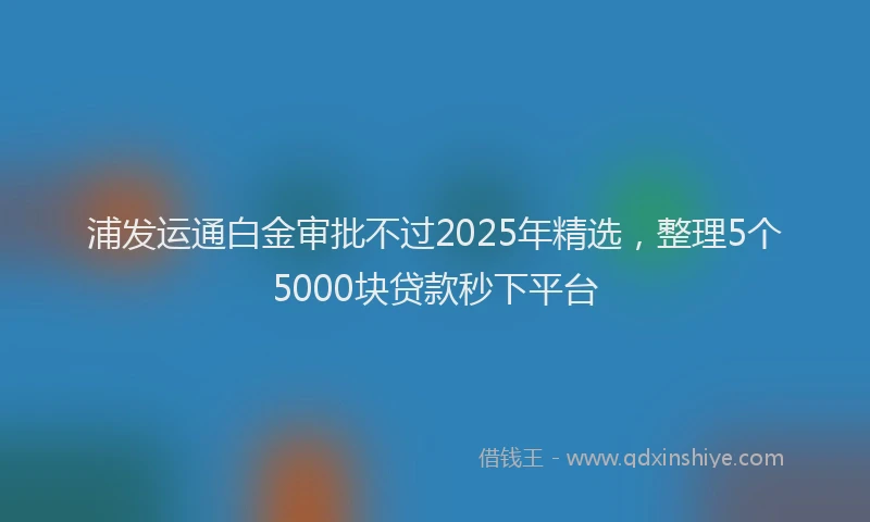 浦发运通白金审批不过2025年精选，整理5个5000块贷款秒下平台