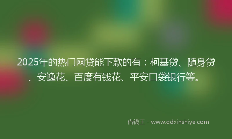 2025年的热门网贷能下款的有：柯基贷、随身贷、安逸花、百度有钱花、平安口袋银行等。