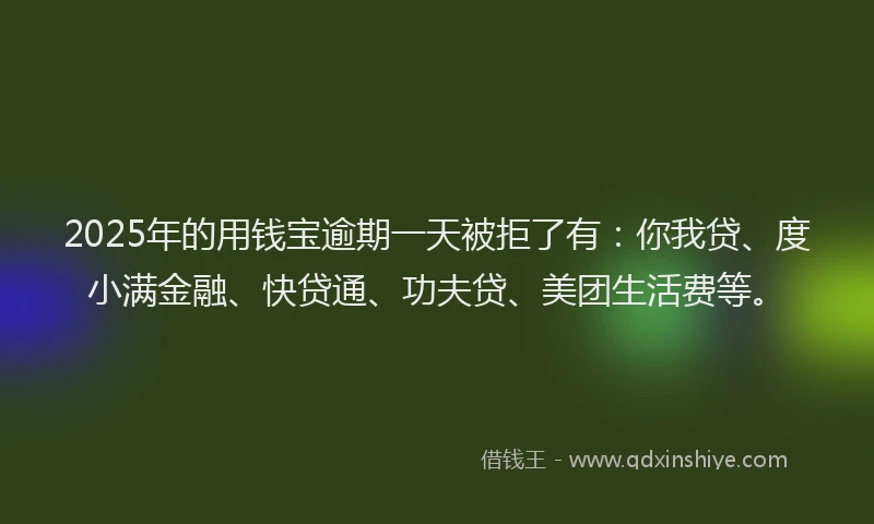 2025年的用钱宝逾期一天被拒了有：你我贷、度小满金融、快贷通、功夫贷、美团生活费等。