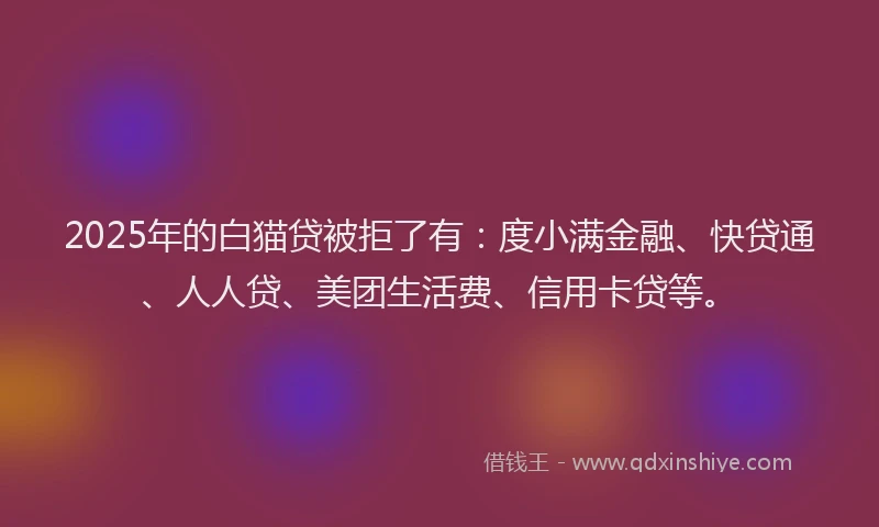 2025年的白猫贷被拒了有：度小满金融、快贷通、人人贷、美团生活费、信用卡贷等。
