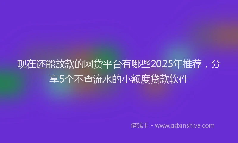 现在还能放款的网贷平台有哪些2025年推荐，分享5个不查流水的小额度贷款软件