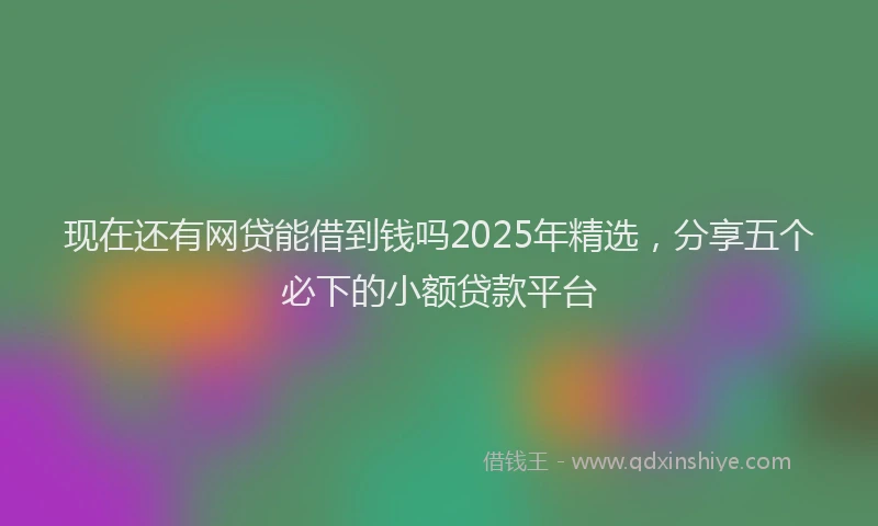 现在还有网贷能借到钱吗2025年精选，分享五个必下的小额贷款平台