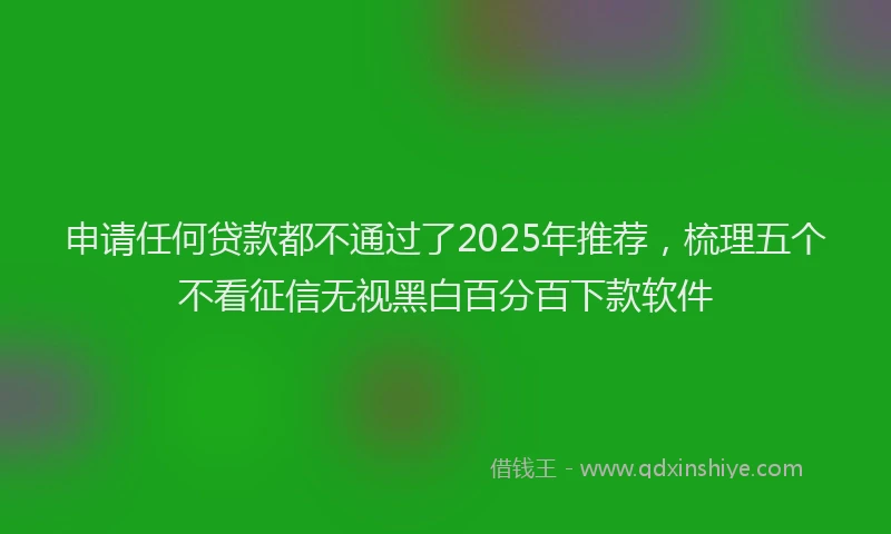 申请任何贷款都不通过了2025年推荐，梳理五个不看征信无视黑白百分百下款软件