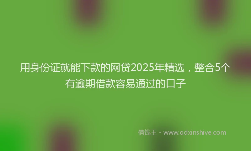 用身份证就能下款的网贷2025年精选，整合5个有逾期借款容易通过的口子