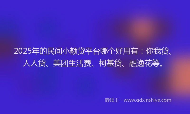 2025年的民间小额贷平台哪个好用有：你我贷、人人贷、美团生活费、柯基贷、融逸花等。