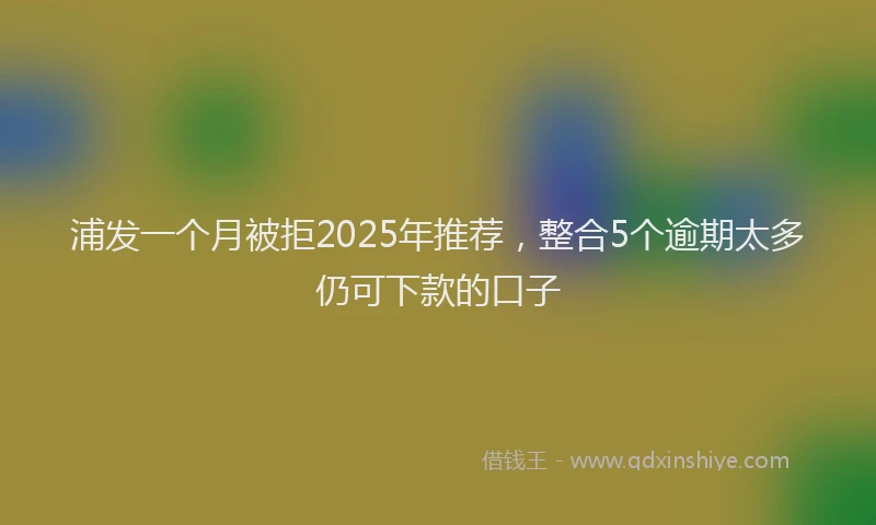 浦发一个月被拒2025年推荐，整合5个逾期太多仍可下款的口子