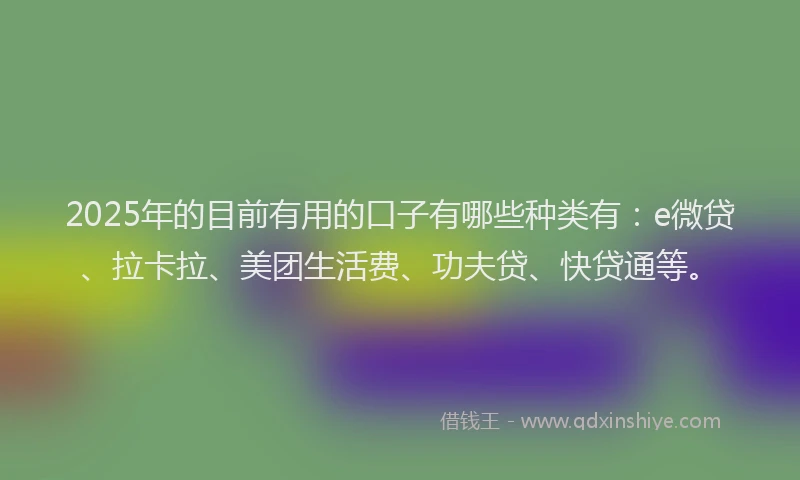 2025年的目前有用的口子有哪些种类有：e微贷、拉卡拉、美团生活费、功夫贷、快贷通等。