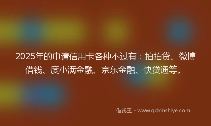 2025年的申请信用卡各种不过有：拍拍贷、微博借钱、度小满金融、京东金融、快贷通等。