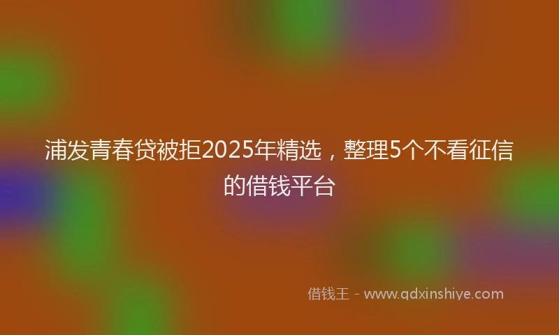 浦发青春贷被拒2025年精选，整理5个不看征信的借钱平台