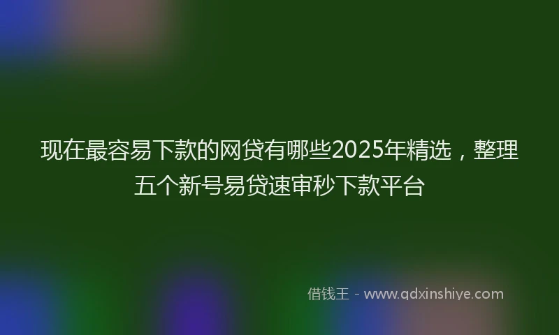 现在最容易下款的网贷有哪些2025年精选，整理五个新号易贷速审秒下款平台