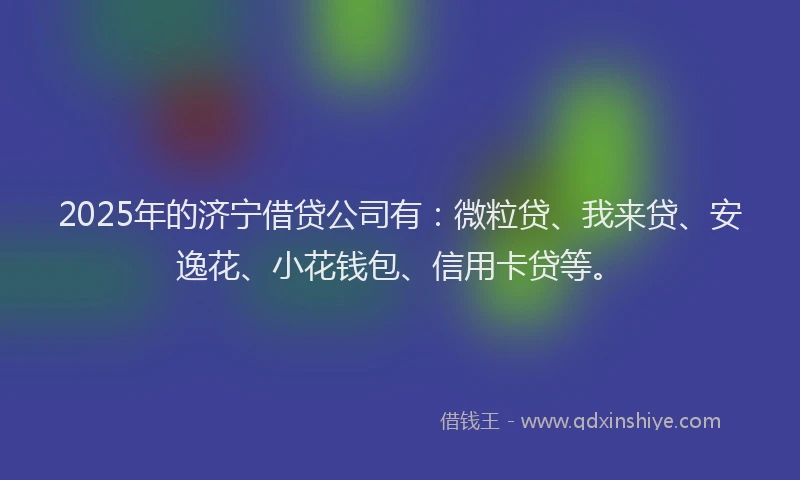 2025年的济宁借贷公司有：微粒贷、我来贷、安逸花、小花钱包、信用卡贷等。