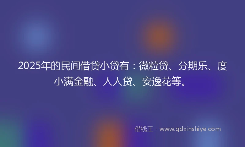 2025年的民间借贷小贷有：微粒贷、分期乐、度小满金融、人人贷、安逸花等。